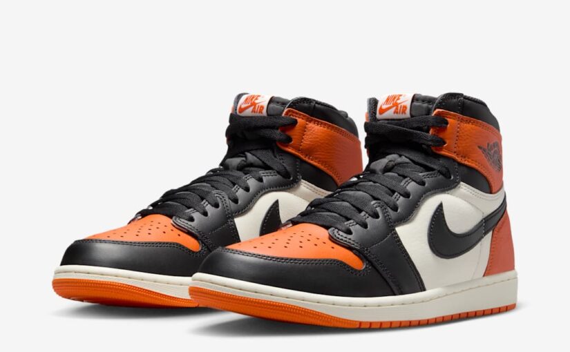 Air Jordan RETRO 1 “Shattered Backboard”