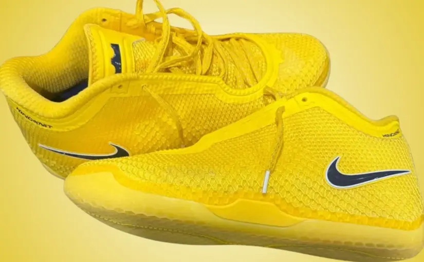 Nike LeBron 24 “Chosen 1s”